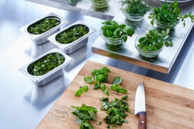 Professional Herbs Basil