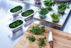 Professional Herbs Dill